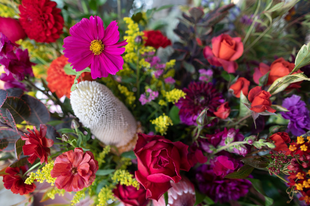 Collection of Plants Matter in a gallery layout